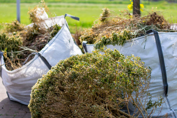 Best Dumpster Rental Services  in Woodburn, IN